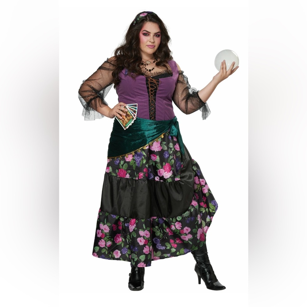 Mystical Charmer Gypsy Fortune Teller Plus Size Costume